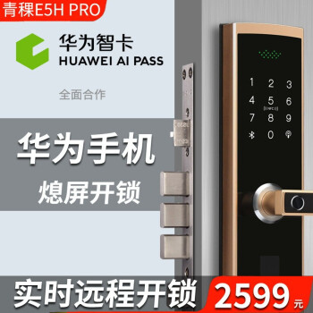 青稞智能锁_青稞智能锁 E5H Pro家用电子防盗WIFI远程智能锁